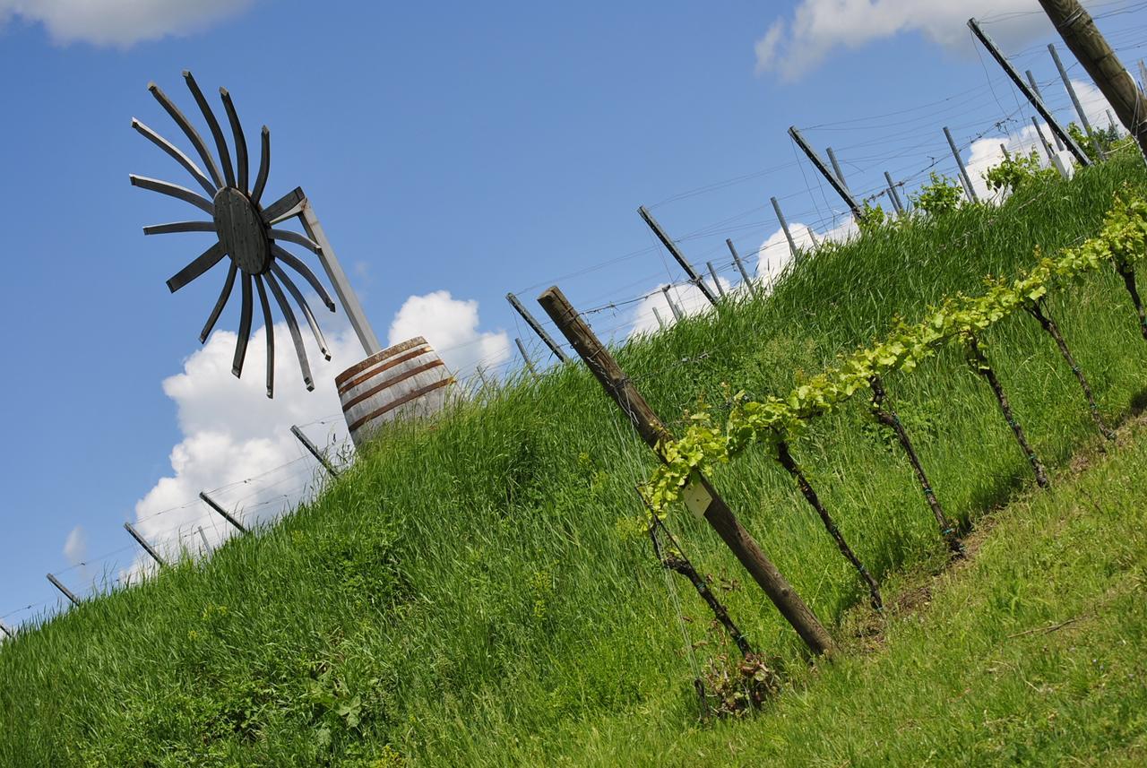 Hotel-Restaurant Schweinberger Stetten ภายนอก รูปภาพ